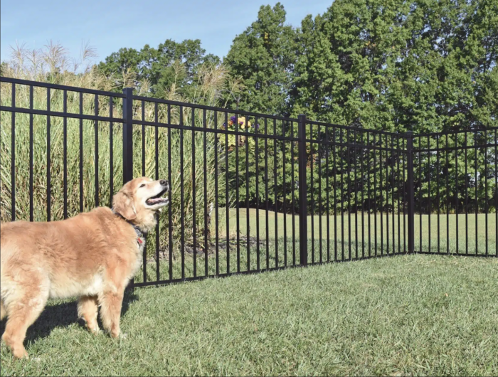 aluminum fence panels for dogs : animals